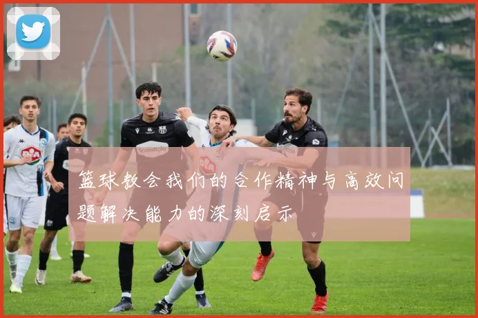 篮球教会我们的合作精神与高效问题解决能力的深刻启示